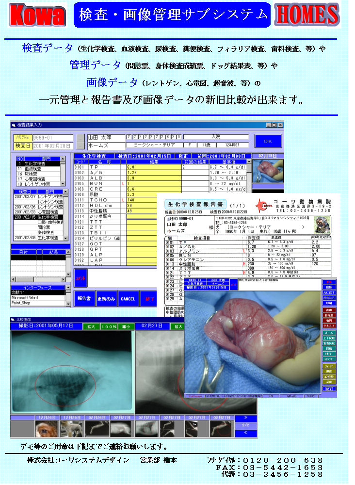 摜ǗTuVXeJ^O
