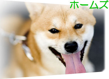z[YFgnldr